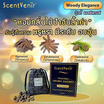 ScentVenir ชุดถุงหอมอโรม่า ปรับอากาศ หินหอม หินอโรม่า จาก "หินภูเขาไฟ" 5 กลิ่น