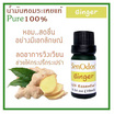 SenOdos น้ำมันหอมระเหยแท้ 100% น้ำมันหอมอโรม่า น้ำหอมปรับอากาศ กลิ่นขิง (Ginger) 10ml.