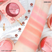 Sivanna บลัชออน Sunny Coral Blush HF8108 8 กรัม