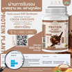 Wisamin PROTEIN PLANT โปรตีนแพลนท์ สูตร1 รสโกโก้ ช็อกโกแลต 900 กรัม