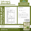 Wisamin PROTEIN PLANT โปรตีนแพลนท์ สูตร1 รสมัทฉะชาเขียว 900 กรัม