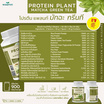 Wisamin PROTEIN PLANT โปรตีนแพลนท์ สูตร1 รสมัทฉะชาเขียว 900 กรัม