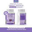 Wisamin PROTEIN PLANT โปรตีนแพลนท์ สูตร1 รสมันเทศ สีม่วง 900 กรัม