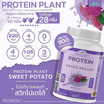 Wisamin PROTEIN PLANT โปรตีนแพลนท์ สูตร1 รสมันเทศ สีม่วง 900 กรัม