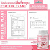 Wisamin PROTEIN PLANT โปรตีนแพลนท์ สูตร1 รสลิ้นจี่ซากุระ 900 กรัม