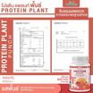 Wisamin PROTEIN PLANT โปรตีนแพลนท์ สูตร1 รสพันช์ 900 กรัม