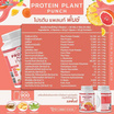 Wisamin PROTEIN PLANT โปรตีนแพลนท์ สูตร1 รสพันช์ 900 กรัม