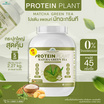 Wisamin PROTEIN PLANT โปรตีนแพลนท์ สูตร1 รสมัทฉะชาเขียว 2.27 Kg.