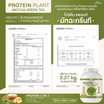 Wisamin PROTEIN PLANT โปรตีนแพลนท์ สูตร1 รสมัทฉะชาเขียว 2.27 Kg.