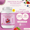 Wisamin PROTEIN PLANT โปรตีนแพลนท์ สูตร1 รสมิกซ์เบอร์รี่ 2.27 Kg.