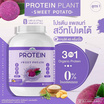 Wisamin PROTEIN PLANT โปรตีนแพลนท์ สูตร1 รสมันเทศ สีม่วง 2.27 Kg.