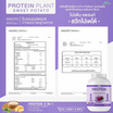 Wisamin PROTEIN PLANT โปรตีนแพลนท์ สูตร1 รสมันเทศ สีม่วง 2.27 Kg.