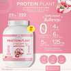 Wisamin PROTEIN PLANT โปรตีนแพลนท์ สูตร1 รสลิ้นจี่ซากุระ 2.27 Kg.