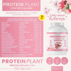 Wisamin PROTEIN PLANT โปรตีนแพลนท์ สูตร1 รสลิ้นจี่ซากุระ 2.27 Kg.