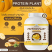 Wisamin PROTEIN PLANT โปรตีนแพลนท์ สูตร1 รสบานาน่า 2.27 Kg.