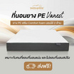 ที่นอนยางPE เสริมฟองน้ำ หุ้มผ้านุ่ม Cotton soft รุ่น Vanest หนา 8 นิ้ว สีขาว