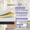 Wellplus ที่นอนยางพาราแท้ สัมผัสแน่น รุ่น Chet หนา 8 นิ้ว