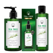 Naturista กิฟเซต Tea Tree