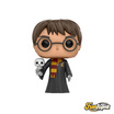 Funko POP (11915-PX-1K1) : Harry Potter with Hedwig (31) POP! Movie: Harry Potter