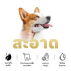 YOYOPET แผ่นเช็ดฟันสัตว์เลี้ยง 50 pcs