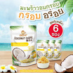 คริสปโคนัท มะพร้าวอบกรอบ รสข้าวเหนียวมะม่วง 40 กรัม (แพ็ก 6 ชิ้น)