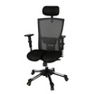 HARA CHAIR เก้าอี้สำนักงานเพื่อสุขภาพ รุ่น THALES-V7 (ทาเลส-v7) สีดำ