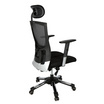 HARA CHAIR เก้าอี้สำนักงานเพื่อสุขภาพ รุ่น THALES-V7 (ทาเลส-v7) สีดำ