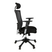 HARA CHAIR เก้าอี้สำนักงานเพื่อสุขภาพ รุ่น THALES-V7 (ทาเลส-v7) สีดำ