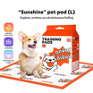 YOYOPET แผ่นรองฉี่สัตว์เลี้ยง