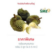 ทุเรียนหมอนทอง 3 ลูก (4.5-5 กก.) สวนน้องคิม จ.จันทบุรี
