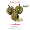 ทุเรียนหมอนทอง 3 ลูก (4.5-5 กก.) สวนน้องคิม จ.จันทบุรี