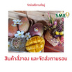 มะม่วงผิงกั่วเหวิน เทอดวลัยฟาร์ม
