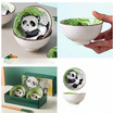 Tintin shop ชุดถ้วยเซรามิค 2 ใบพร้อมตะเกียบ สีเขียว Panda