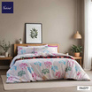 Facino ผ้านวมขนาด 60x80 FA077