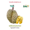 ทุเรียนหมอนทอง 1 ลูก (2.7-3 กก.) สวนลุงเบิ้ม จ.นครนายก
