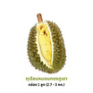 ป่าทุเรียนนครนายก ทุเรียนหมอนทองภูเขา กล่อง 1 ลูก (2.7-3 กก.)