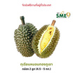 ป่าทุเรียนนครนายก ทุเรียนหมอนทองภูเขา กล่อง 2 ลูก (4.5-5 กก.)