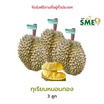 ทุเรียนหมอนทอง 3 ลูก สวนลุงเบิ้ม จ.นครนายก