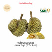 ทุเรียนหมอนทอง 2 ลูก 2.7-3 กก. สวนเจ้าพายุ จ.จันทบุรี