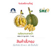 ทุเรียนกบชายน้ำ 2-3 ลูก (6.5-7 กก.) สวนจันทวิสูตร จ.จันทบุรี