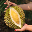 ทุเรียนนวลทองจันท์ 2 ลูก 2.7-3 กก. สวนนวลทองจันท์ จ.จันทบุรี