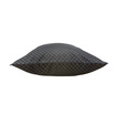 Satin Plus หมอนหนุนใยสังเคราะห์ รุ่น Life ลาย LKS003