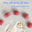 zeze Smart Rolling Ball ลูกบอลของเล่นสัตว์เลี้ยง กลิ้งได้เอง มีไฟกะพริบ