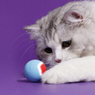 zeze Heart Ball Toy ลูกบอลอัจฉริยะ บอลหัวใจ  กลิ้งเองได้ มีไฟกระพริบ