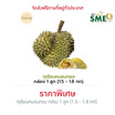 ทุเรียนหมอนทอง 1 ลูก 1.5-1.8 กก. สวนเจ้าพายุ จ.จันทบุรี