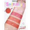 Sivanna ดินสอเขียนขอบปาก Soft Blur Lip Pencil HF707 1.45 กรัม