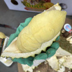 ทุเรียนภูเขาไฟศรีสะเกษหมอนทอง 2 ลูก (5.5-6 กก.) ดีจริง ศรีสะเกษ