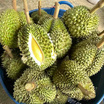 ทุเรียนเพียงพร 5-8ลูก 6.5-7 กก. สวนจันทวิสูตร จ.จันทบุรี