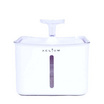 Aclium น้ำพุเเมว