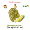 ทุเรียนทองบางสะพาน 1 ลูก (2.5-3 กก.) สวนมีตังค์ จ.ประจวบคีรีขันธ์